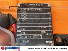 Iveco Trakker AD190T36WP 4x4, Kran, 