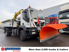 Iveco Trakker AD190T36 4x2, Kran, 