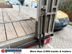 Andere THT 11, Verzinkt 